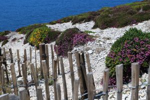 #1 Séjour en Finistère : de la Pointe de Pen-Hir au Cap de la chèvre